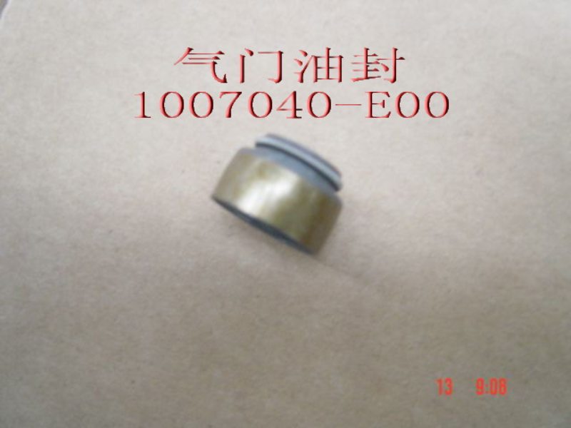 GREAT WALL - Колпачок маслосъемный 491qe gw deer,safe