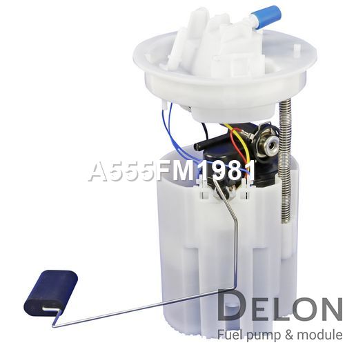 DELON - Модуль в сборе с бензонасосом
